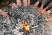 Cold wave grips J&K, snowfall likely from Dec 13