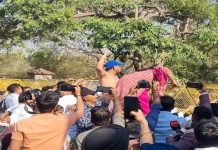 Police Use Water Cannon as Youth Congress Protests Outside HPSC Office