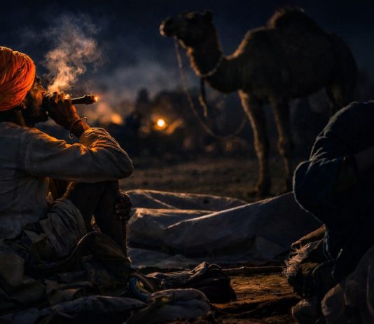 Tehelka Investigation: Now, Udta Rajasthan?