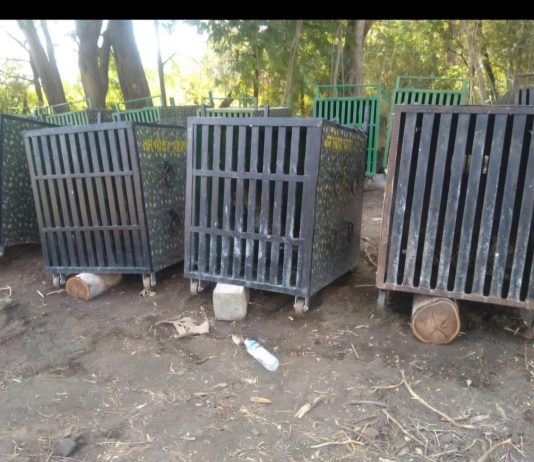 Leopards Trapped for Months in Vadgaon Sawtal Spark Outrage