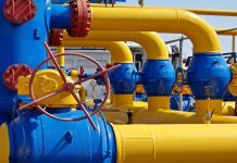 Why is govt pushing PNG Adoption?