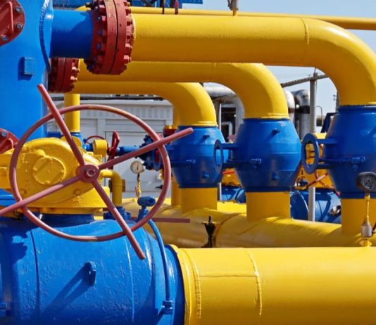 Why is govt pushing PNG Adoption?